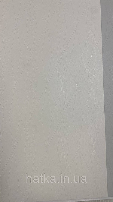 Шпалери метрові вінілові на флізеліні A.S.Creation Elite of Shades1.06x10 геометрія плоски сіточкою білий з беж 78654-4 Київ - фото 3