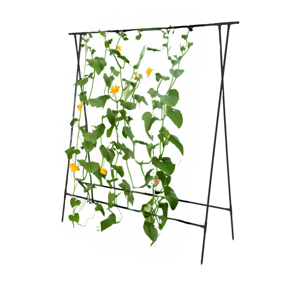 Шпалера для огірків подвійна Chipo Lina - висока металева опора для кучерявих рослин у комплекті з с Борисполь - изображение 1