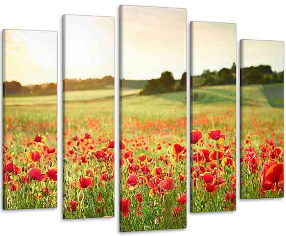 Модульна картина Природа Маки Art-176_5 Київ