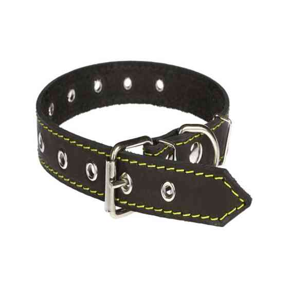 Нашийник 312 25 мм "Класик" шкіряний безрозмірний Вінниця