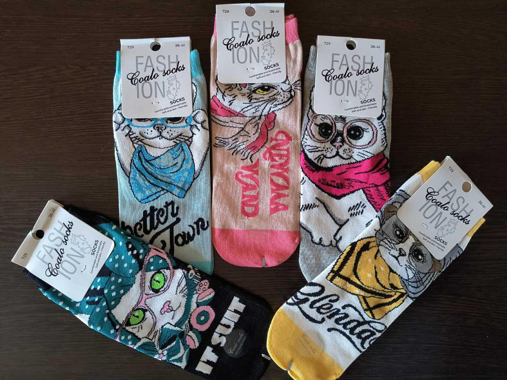 Носки женские с котятами. В наборе из 5шт. Яркие женские носки с приколами. Coalo socks. Размер 36-41 Киев - изображение 2