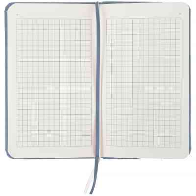 Еженедельник Axent датированный 2026 Pocket Strong 90х150, серый (8508-26-62-A) Винница