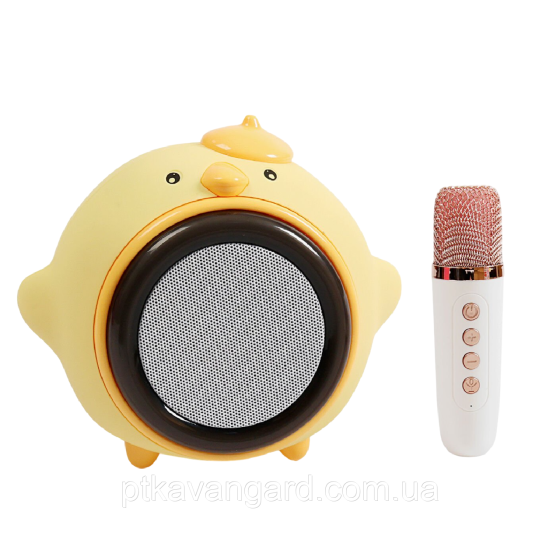 Детская караоке-колонка с микрофоном и блютуз 