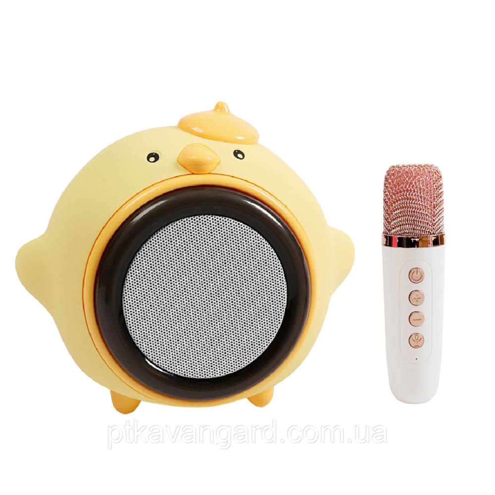 Детская караоке-колонка с микрофоном и блютуз 