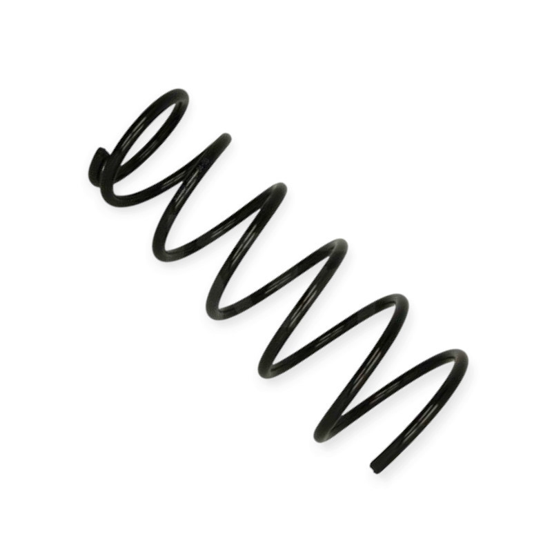 Пружина Suzuki SX4, Fiat Sedici 06-передня Мукачево - фото 1