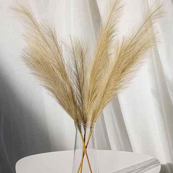 Пампас искусственный 75см 5шт/уп. Цвет: бежевый VN-53 Львов