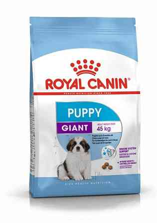 Royal Canin Giant Puppy (Роял Канін Джайнт Паппі) сухий корм для цуценят дуже великих порід Запоріжжя
