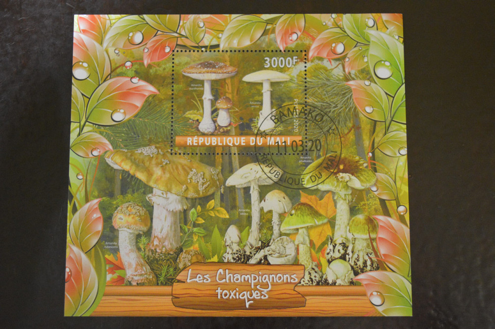 Мали. Марки. Фауна. Блок. 2020 год (В-4) Полтава - изображение 1