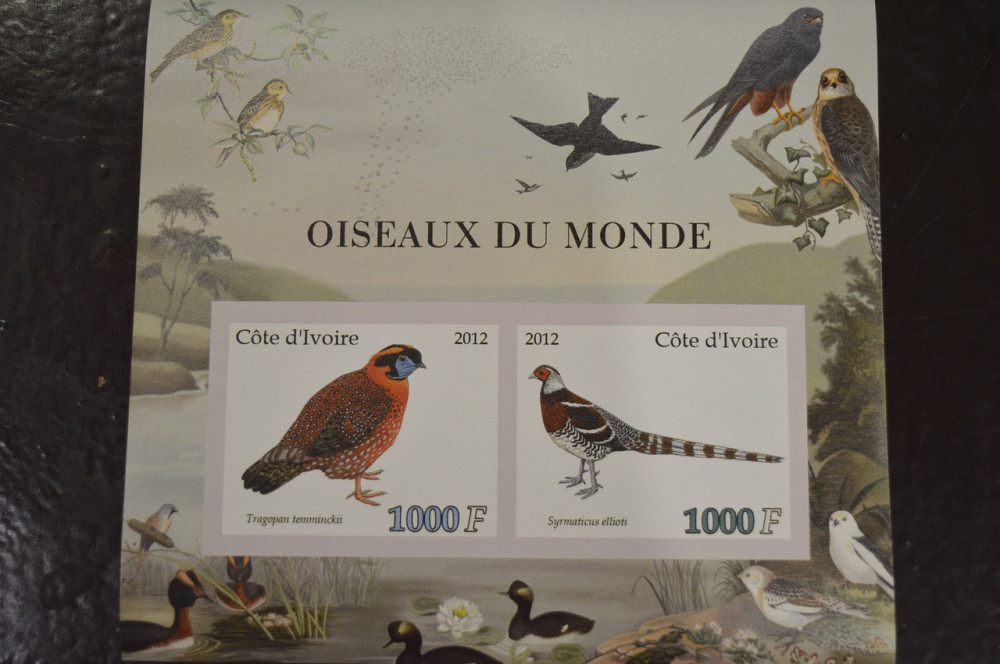 Кот-Д'івуар. Фауна. Марки. Блок. 2012 рік (І) Полтава - фото 1