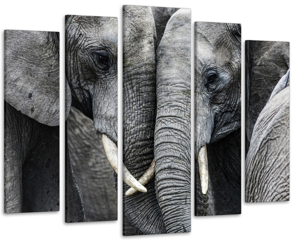 Модульная картина Животные  Пара Слонов Art-344_5 ( 80х118см ) 99x140 см Киев - изображение 1