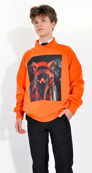 Світшот з принтом (170 см) Київ - фото 2