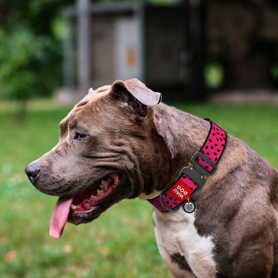 Нашийник для собак нейлоновий WAUDOG Nylon з QR паспортом, малюнок "Кавун", металева пряжка-фас Коломыя - изображение 3