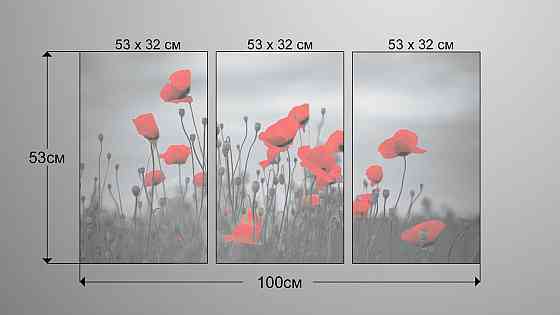 Модульна картина Квіти Маки Аrt-215_3А Київ