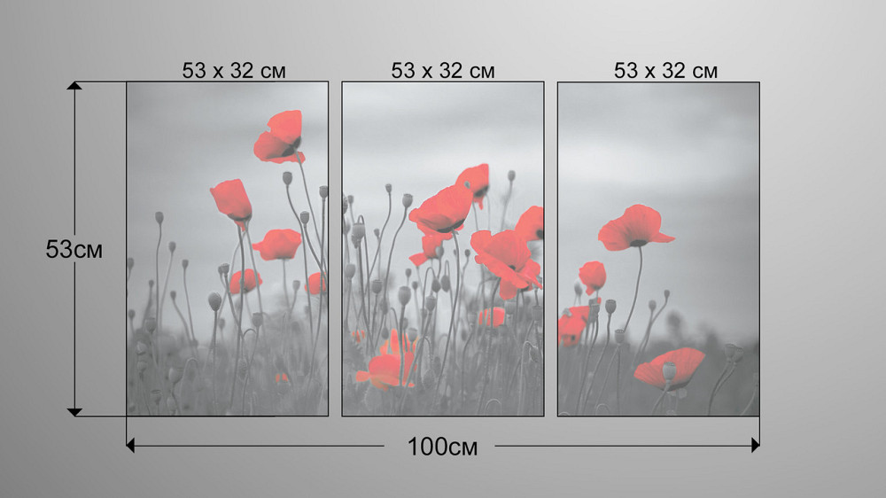 Модульна картина Квіти Маки Аrt-215_3А Київ - фото 3