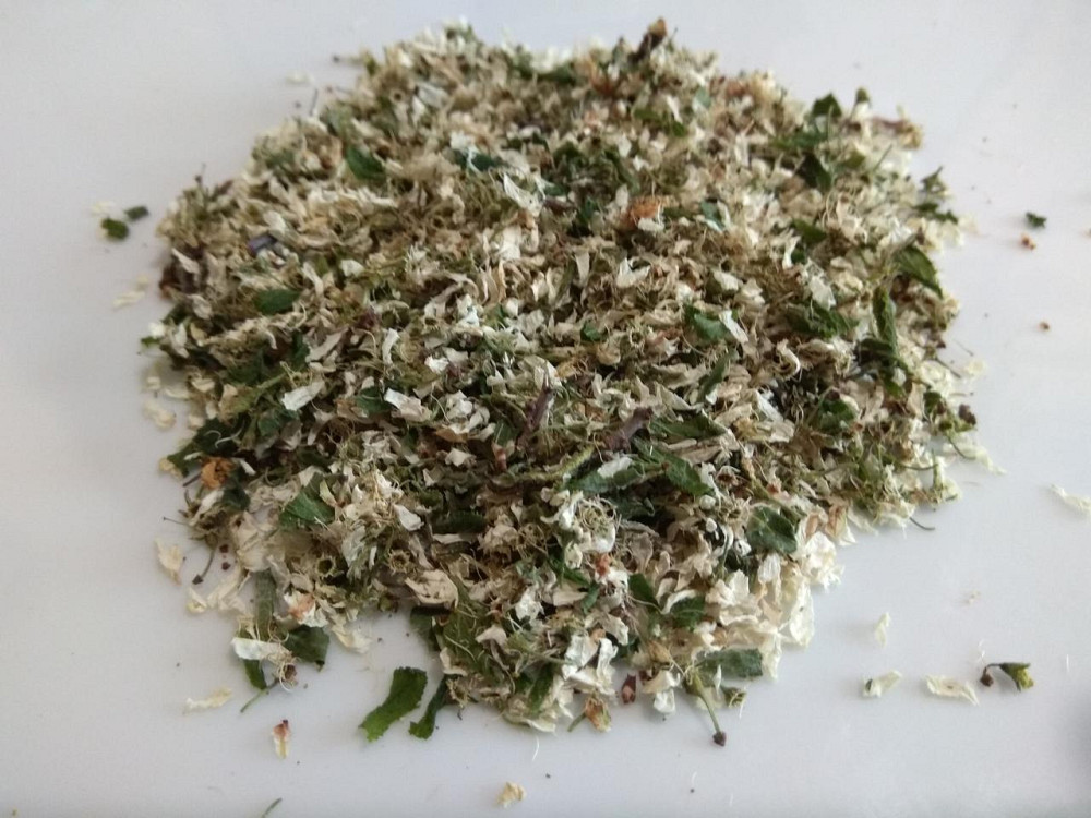 Терн / Дикая слива (цветки), 500г. MasterSEM Киев - изображение 1