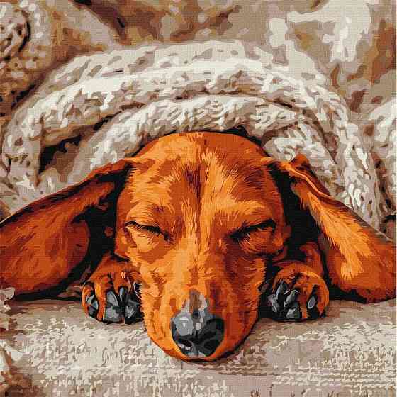 Картина за номерами "Солодкий спокій" ©art_selena_ua KHO6840, 40х40 см Вінниця