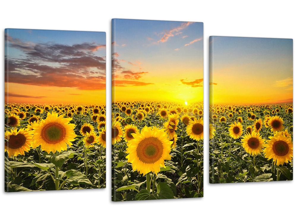 Модульная картина Природа Подсолнухи  (53x100см)  Art-51_3 70x130 см Киев - изображение 1