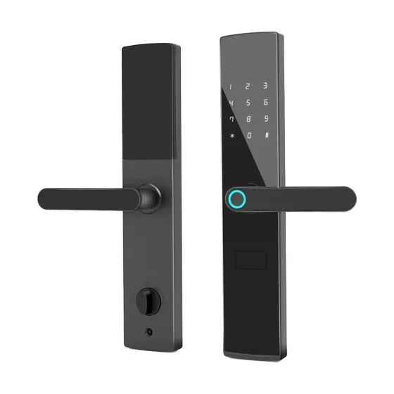 Замок біометричний автономний Trinix TRL-5404BTF Black L/R з Bluetooth, зчитувачем відбитків пальців і карт Mifare (65-00084) Киев