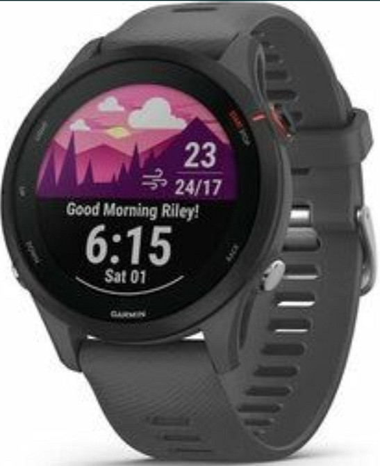 Смарт-Часи Garmin Forerunner 255 Київ - фото 2
