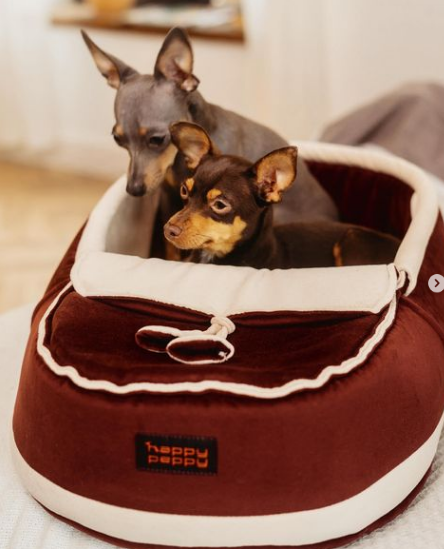 Лежак для собак і котів Happy Peppy (Хеппі Пеппі) Slipper Коричневий Запоріжжя - фото 2