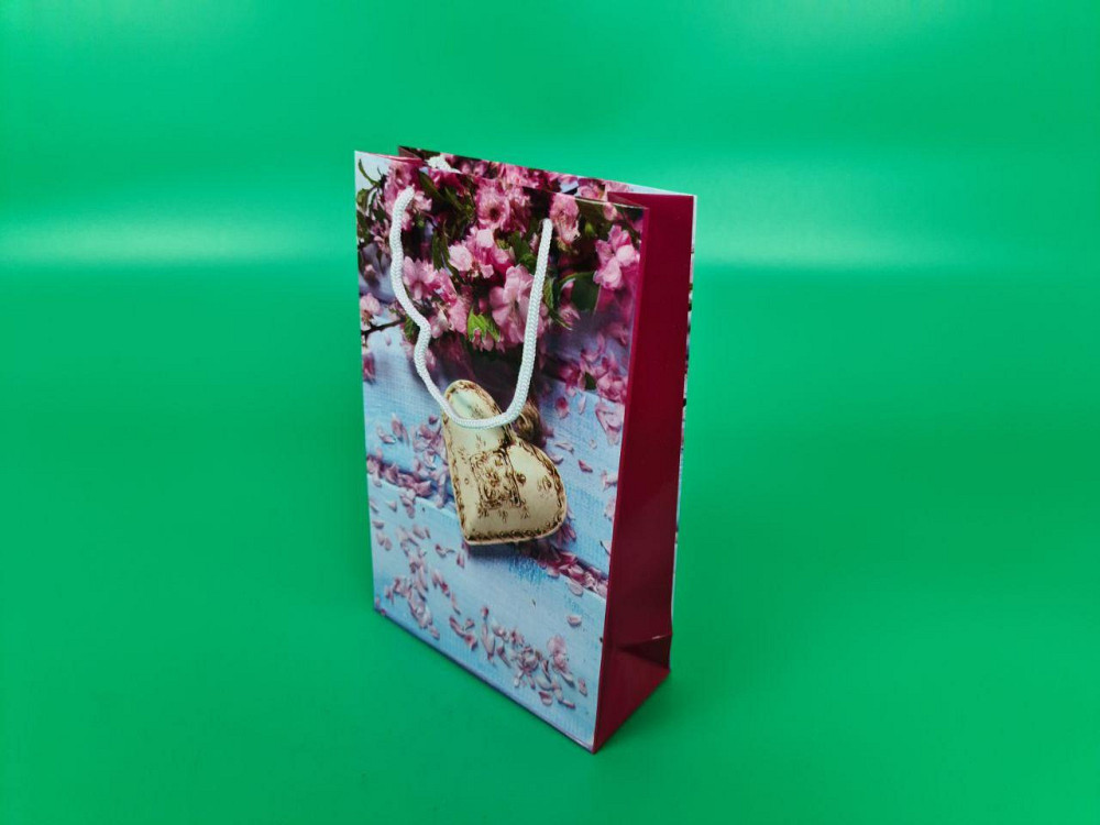 Паперовий пакет подарунковий Середній 17/26/8 (артSV-030) (12 шт.) Харків - фото 1