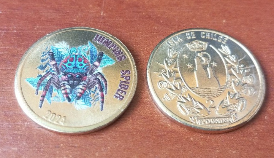 Острів де ЧІЛІ 2 фунта 2024 павук Полтава - фото 1