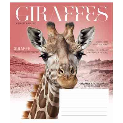 Зошит Школярик Fauna magazine 12 аркушів клітинка (012-3428K) Вінниця