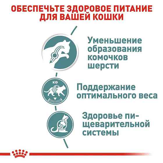 Royal Canin Hairball Care Gravy (Роял Канін Хейрбол) вологий корм для кішок під час грудочок у шлунку 85 г х 12 шт. Запоріжжя