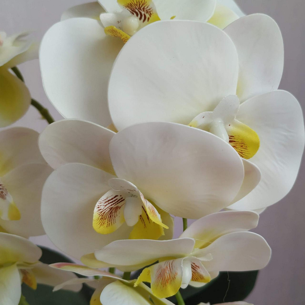 Штучна латексна міні орхідея в білому пластиковому кашпо на дві гілки біла Дніпро - фото 5