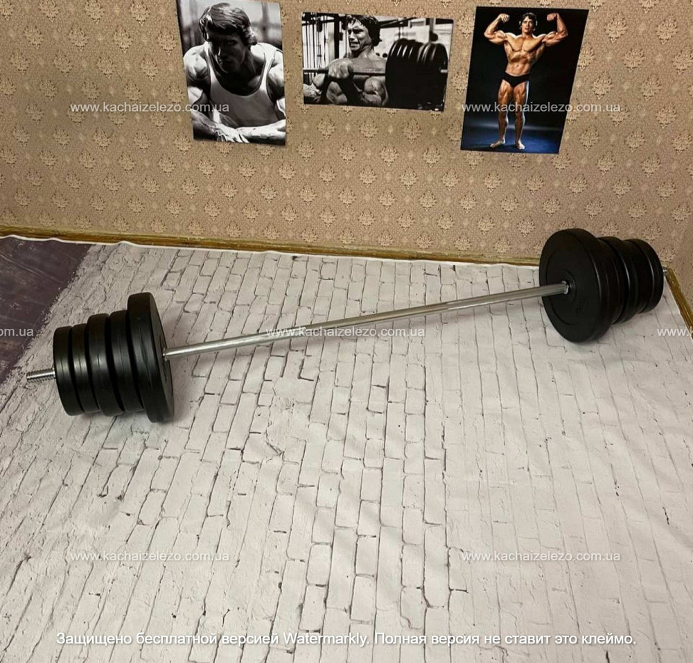 Штанга набірна на 60 кг Гантелі, гирі, штанги і диски в ударостійкому пластику Київ - фото 9