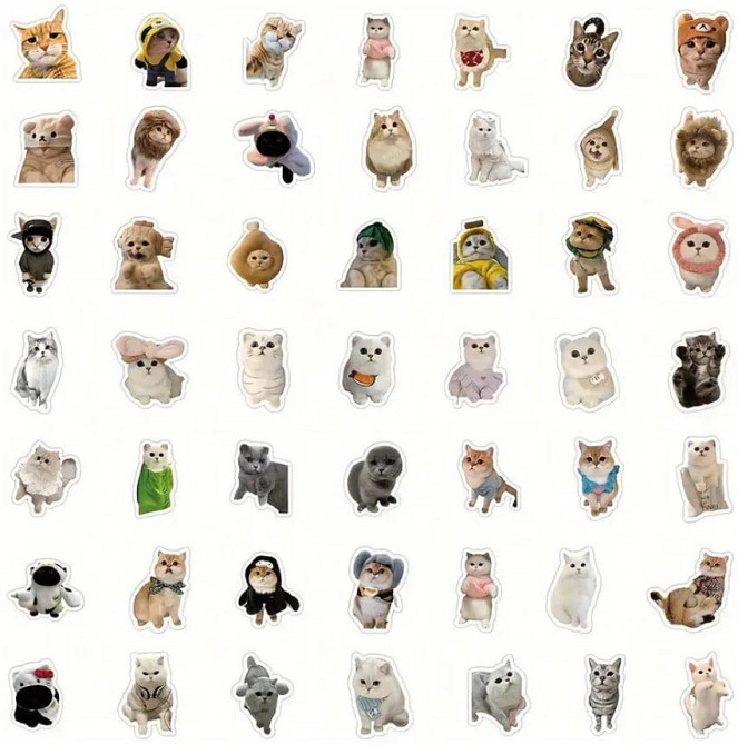 Наклейки Стікери Коти - Водонепроникні Вінілові Естетичні Наклейки з Котами для Пляшки Води, Комп'ют Київ - фото 4