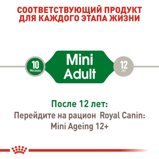 Royal Canin Mini Adult (Роял Канін Міні Едалт) вологий корм для маленьких собак до 10 кг від 10 м. 85 г х 12 шт Запоріжжя