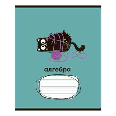 Тетрадь ZiBi набор ученических CRAZY CAT 48 листов ячейка 10 штук, 8 предметов (ZB.1703-99) Винница