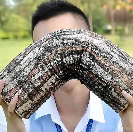 Подушка у вигляді поліна RESTEQ. М'яка подушка колода 43см, декоративне поліно Київ