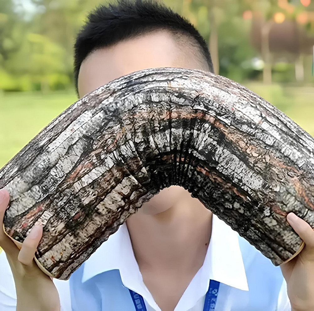 Подушка у вигляді поліна RESTEQ. М'яка подушка колода 43см, декоративне поліно Київ - фото 4