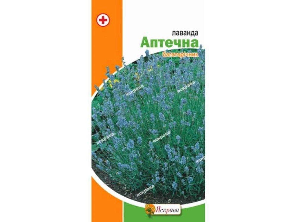 Лаванда Аптечная (20 пачек) 0.1г ТМ ЯСКРАВА Киев - изображение 1