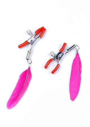 Пестіси StymulatorExclusive Nipple Clamps No.13 Fetish Boss Series Sex Aura Київ