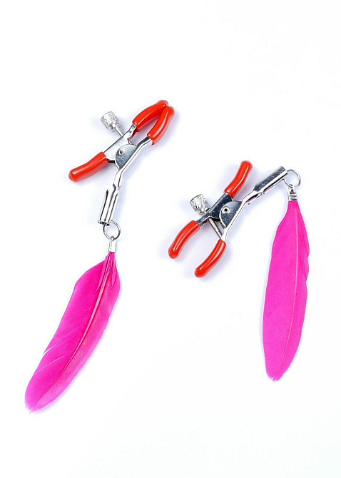 Пестіси StymulatorExclusive Nipple Clamps No.13 Fetish Boss Series Sex Aura Київ - фото 3