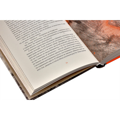 Книга Не відпускай мене - Кадзуо Ішіґуро Видавництво Старого Лева (9786176792956) Винница - изображение 10