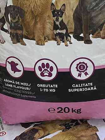 🐶 Сухий корм для собак Thank’Q Standard, 20 кг баранина  (Economy Pack) Київ