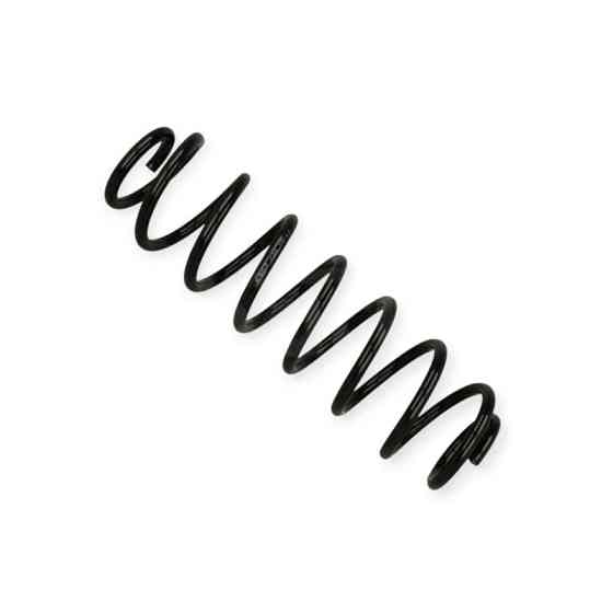 Пружина Skoda Fabia 00- задняя Мукачево