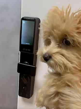 PES Alabay розумний замок із вбудованим відеодомофоном Київ