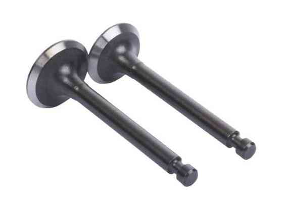 Клапаны  на генератор 1.8KW/2.0KW, к-т: 2 шт., Мукачево