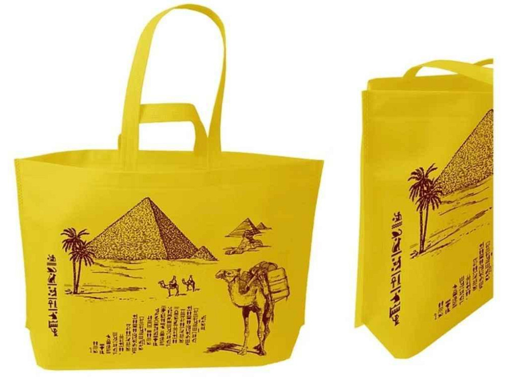 Еко сумка з термодном з друком Єгипет із замком 520х380х130мм 600мм ТМ ECOBAG Київ - фото 1