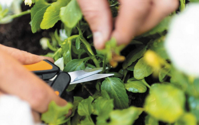 Ножницы универсальные Fiskars Solid™ Micro-Tip SP13 (1051600) Нововолынск - изображение 8