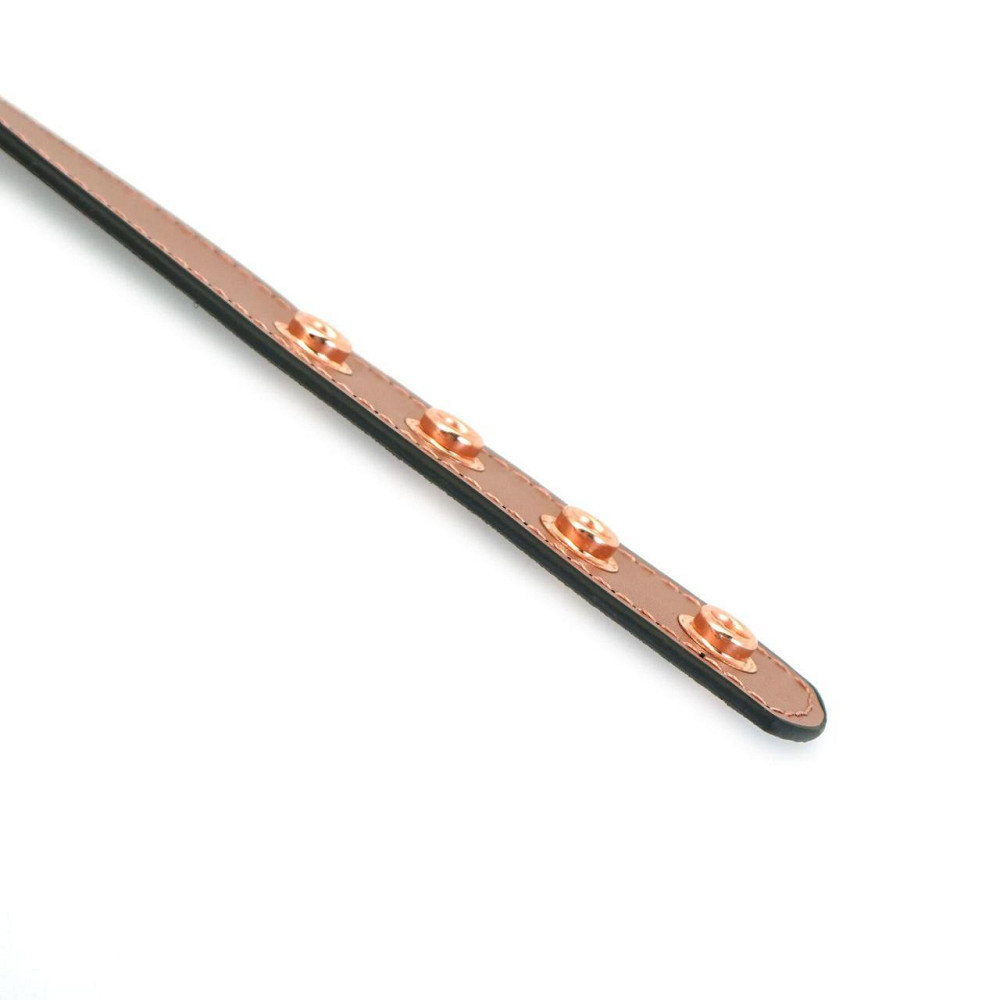Нашийник із затискачами для сосків Liebe Seele Rose Gold Memory Collar with Nipple Clamps, шкіра Sex Aura Київ - фото 9