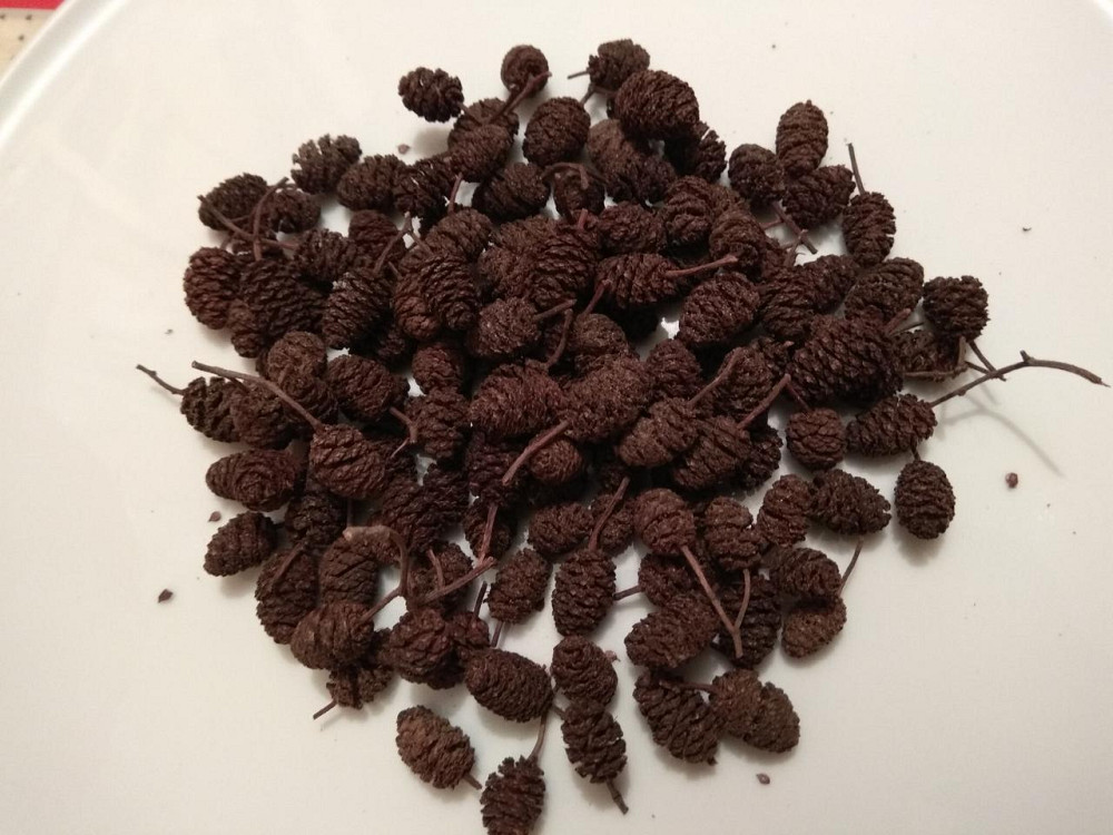 Ольха (шишки), 1кг. MasterSEM Киев - изображение 1