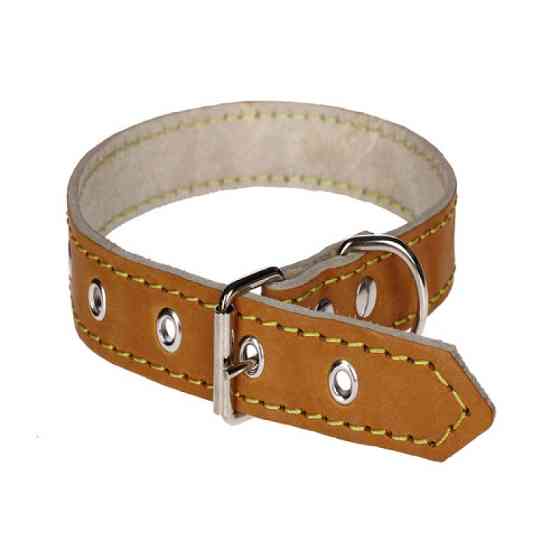 Нашийник 209 20мм "Економ" шкіра Вінниця