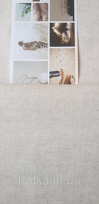 Обои виниловые на флизелине A.S.Creation UNITA 1.06x10 под штукатурку матовые бежевые с серым Киев - изображение 1