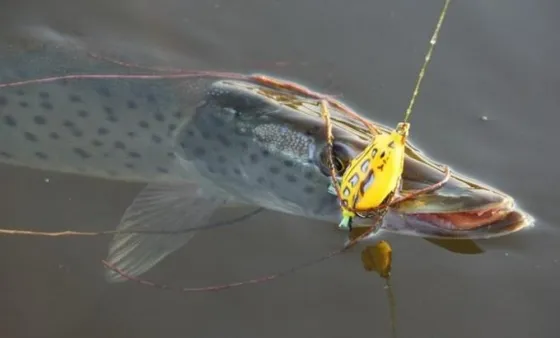 Воблер Лягушка Незацепляйка номер 2 Киев